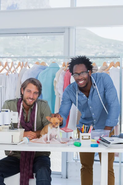 Two fashion designers with chihuahua — Stock Photo, Image