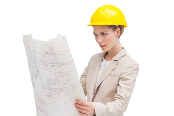 Architect reading construction plan — Stock Photo, Image