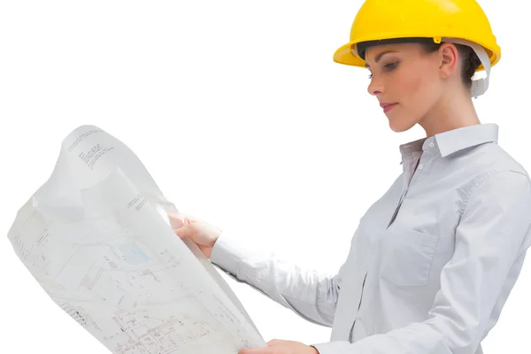 Architect reading a plan — Stock Photo, Image