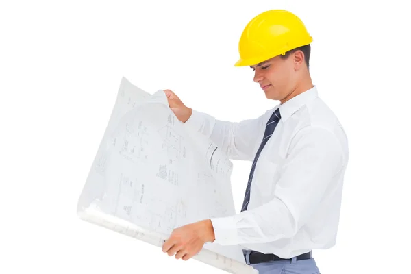 Architect reading a plan — Stock Photo, Image