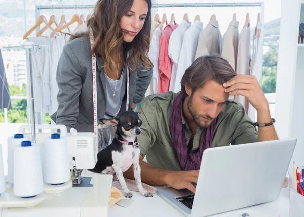 Chihuahua sentado en el escritorio — Foto de Stock