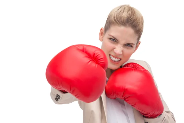 Mulher de negócios determinada com luvas de boxe — Fotografia de Stock