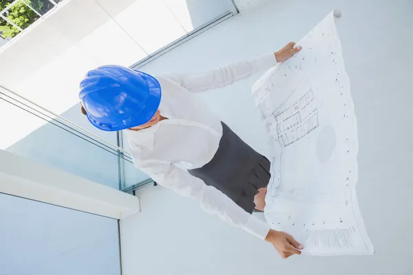 Kopf eines Architekten mit einem Bauplan — Stockfoto