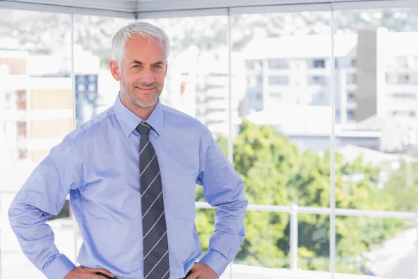 Businessman smiling at camera with hands on hips — Stock Photo, Image