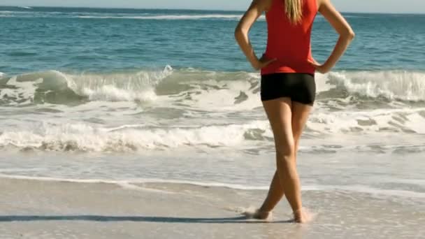 海を見る女 — ストック動画
