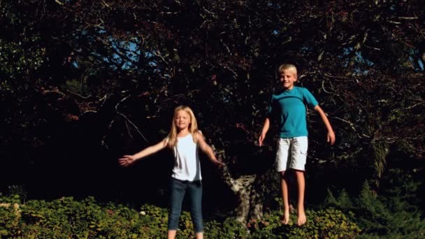 Broer en zus springen op een trampoline — Stockvideo