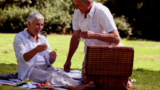 Зрелая пара устраивает пикник с белым вином — стоковое видео