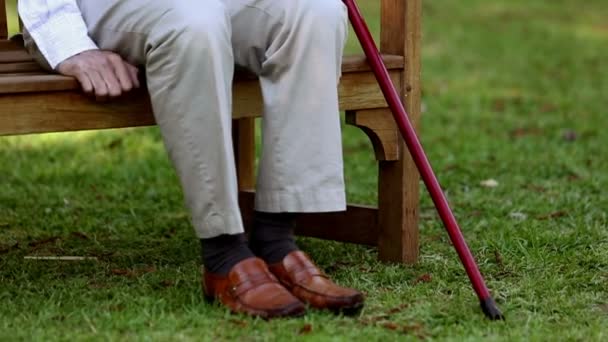 Γέρος που κάθεται σε ένα παγκάκι — Αρχείο Βίντεο