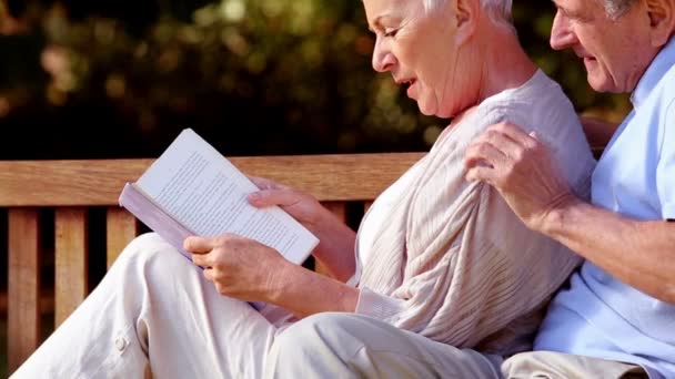 Bejaarde echtpaar lezen van een boek — Stockvideo