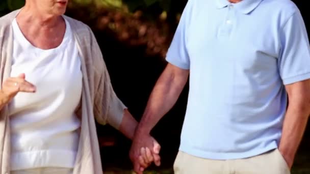 Mature couple walking hand in hand — Stock Video