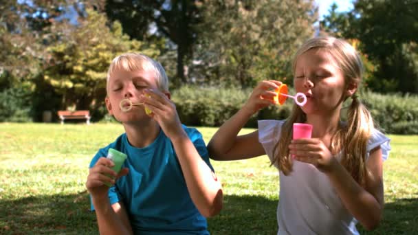 Cheerful siblings having fun with bubbles — Stock Video