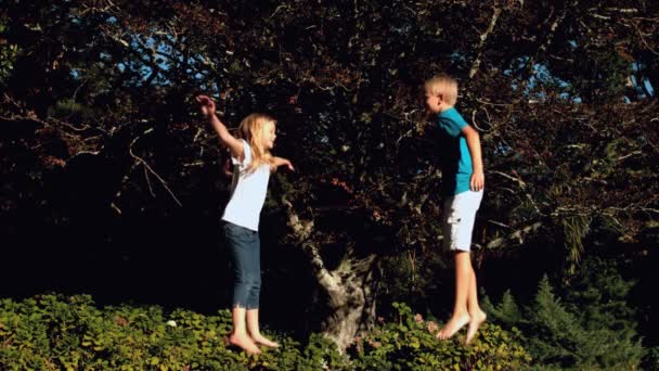 Cheerful siblings having fun on a trampoline — Stock Video