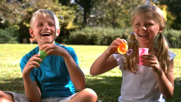 Siblings having fun together with bubbles — Stock Video