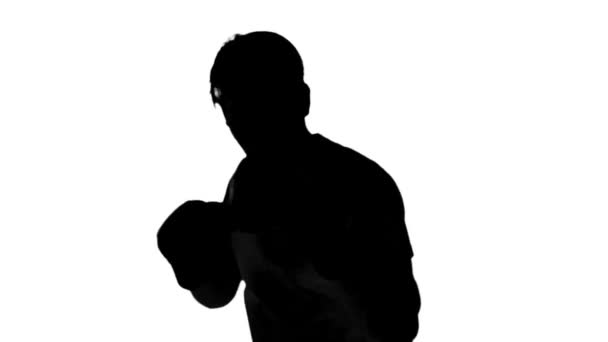 Silueta de un hombre boxeando sobre fondo blanco — Vídeo de stock