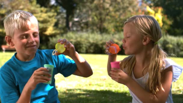 Alegres hermanos divirtiéndose juntos con burbujas — Vídeos de Stock