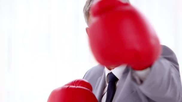 Businessman boxing with red gloves — Stock Video