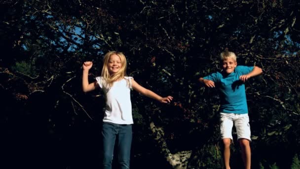 Brother and sister jumping together on a trampoline — Stock Video