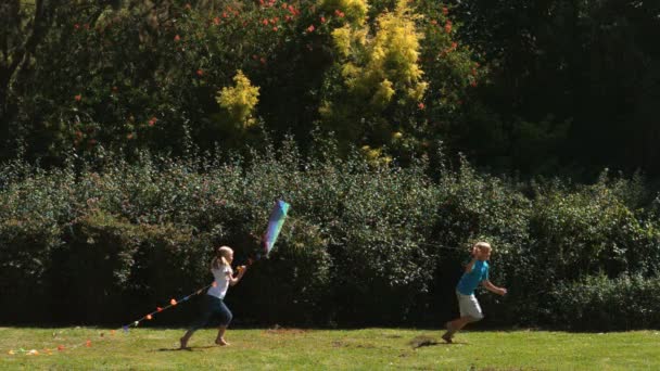 Broers en zussen plezier in een park met een vlieger — Stockvideo