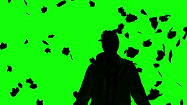 Silhouette di un uomo sotto le foglie cadenti sullo schermo verde — Video Stock