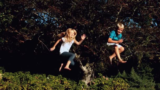 Cheerful siblings bouncing on a trampoline — Stock Video