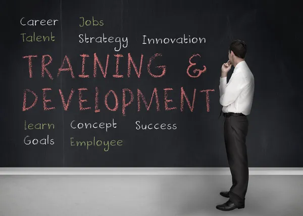 Training and development terms written on a blackboard Stock Image