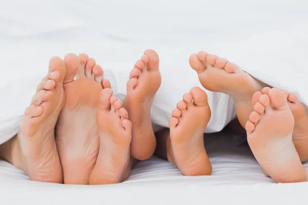 Fötter av en familj som sticker ut från täcket — Stockfoto