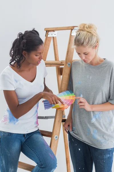 Hübsche Hausgenossen wählen Farbe für Wand — Stockfoto