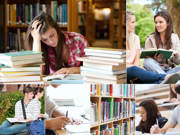 Collage van studenten die studeren — Stockfoto