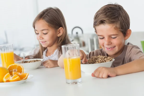 Cheerful siblings eating cereal together Royalty Free Stock Photos