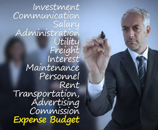 Sophisticated businessman writing expense terms — Stock Photo, Image