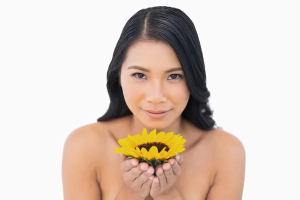 Doğal siyah saçlı model holding Ayçiçek — Stok fotoğraf