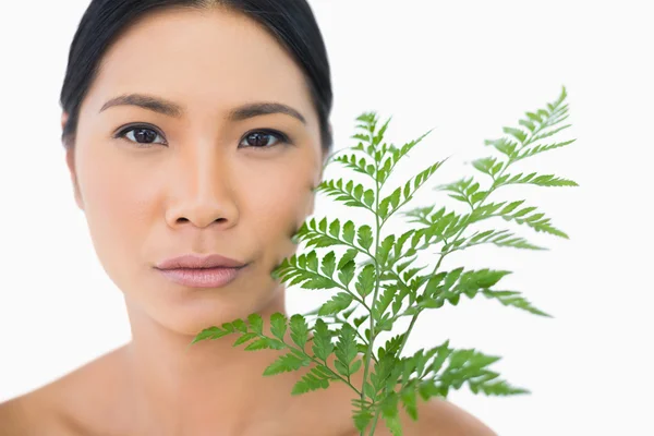 Serious sensual dark haired model with fern caressing her face — Stock Photo, Image