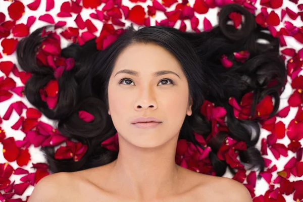 Thoughtful attractive dark haired model lying in rose petals — Stock Photo, Image