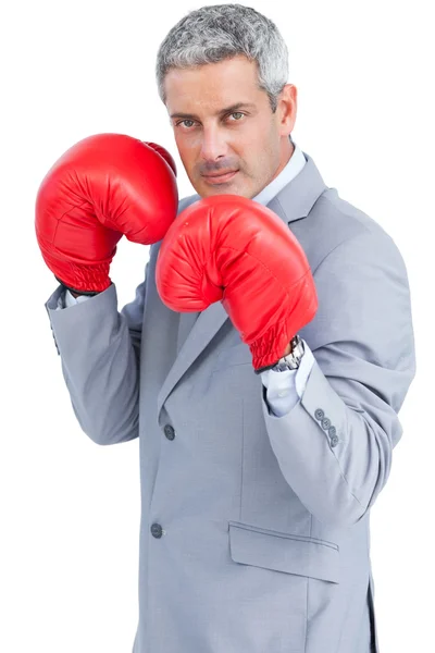 Крутой бизнесмен в боксёрских перчатках — стоковое фото