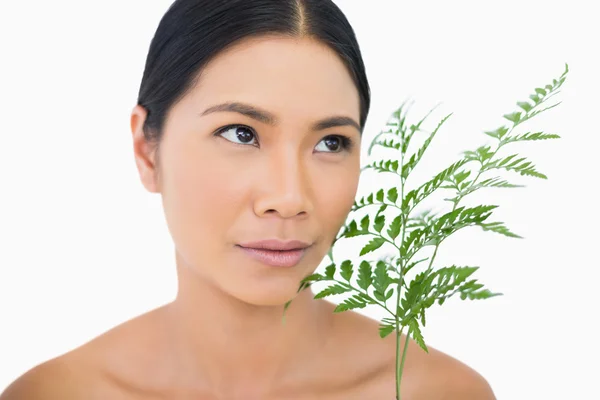 Pensive sensual dark haired model with fern caressing her face — Stock Photo, Image