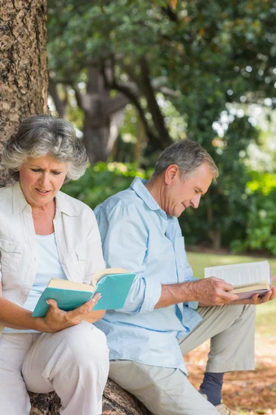 Glückliches älteres Paar liest gemeinsam Bücher sitzend auf Baumstamm — Stockfoto