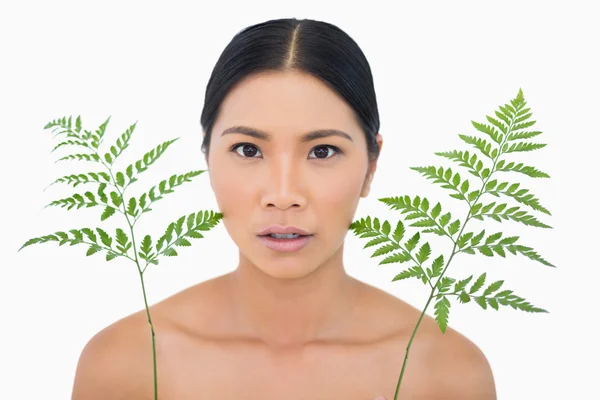Surprised sensual dark haired model with fern looking up — Stock Photo, Image