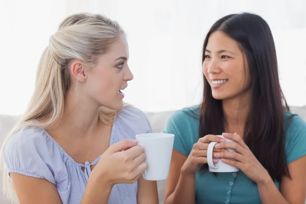 Jeunes amis bavardant sur des tasses de café — Photo