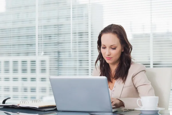 Femme d'affaires concentrée travaillant sur son ordinateur portable — Photo