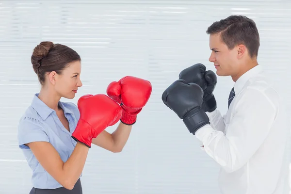 Colleagues in competition having a boxing match — Stock Photo, Image