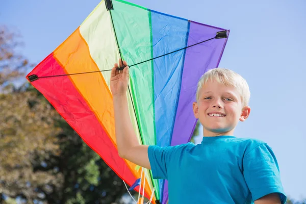 Boy having fun with a kite — Stock Photo, Image