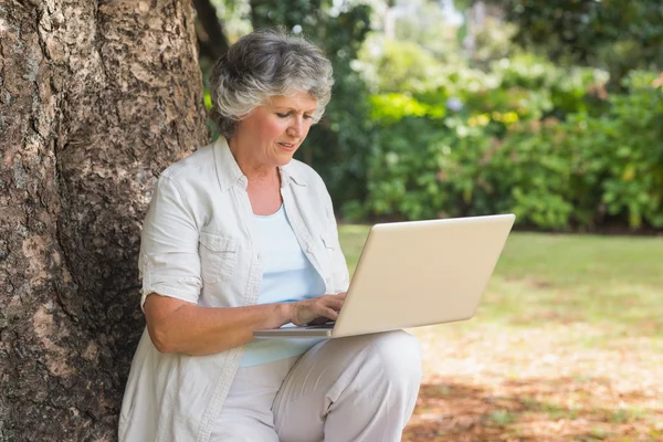 Mature woman typing something into a laptop sitting on tree trun — Stock Photo, Image