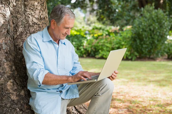 Χαρούμενα ώριμος άνδρας κάθεται σε κορμό δέντρου, χρησιμοποιώντας φορητό υπολογιστή — Φωτογραφία Αρχείου