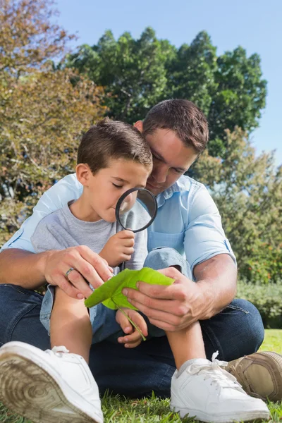 Улыбающиеся папа и сын осматривают лист увеличительным стеклом — стоковое фото