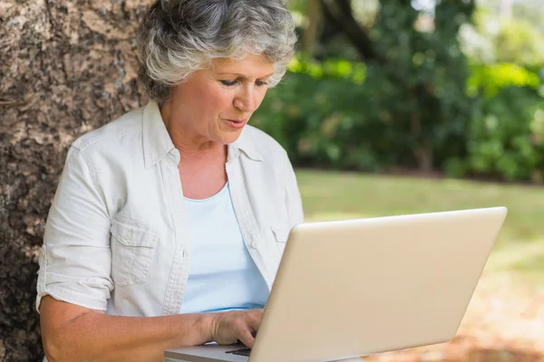 Mulher de cabelos grisalhos com um laptop — Fotografia de Stock