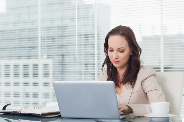 Concentrated businesswoman working on her laptop — Stock Photo, Image