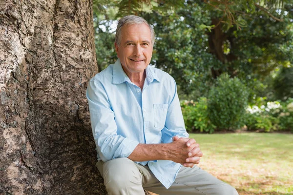 Веселый взрослый мужчина сидит на стволе дерева — стоковое фото