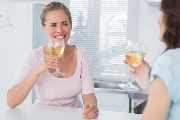 Mulheres alegres tomando um copo de vinho — Fotografia de Stock