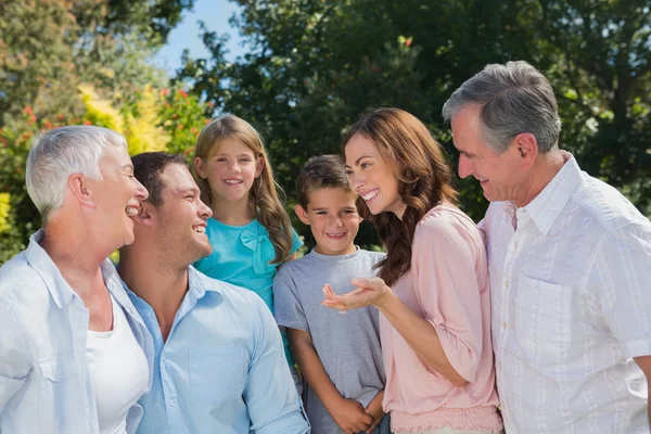 Smiling family and grandparents talking — Stock Photo, Image