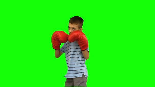 Petit garçon avec gants de boxe boxe sur écran vert — Video